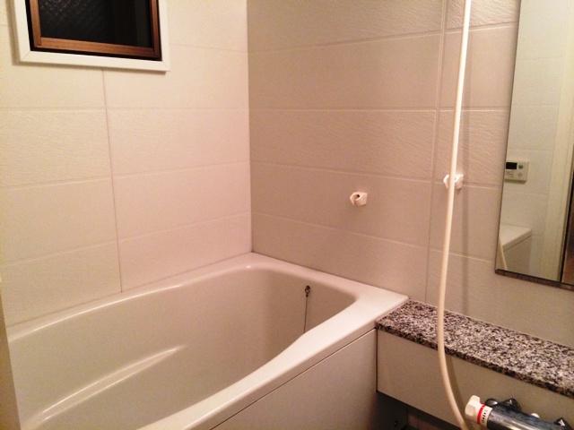 Bathroom. Indoor (12 May 2013) Shooting