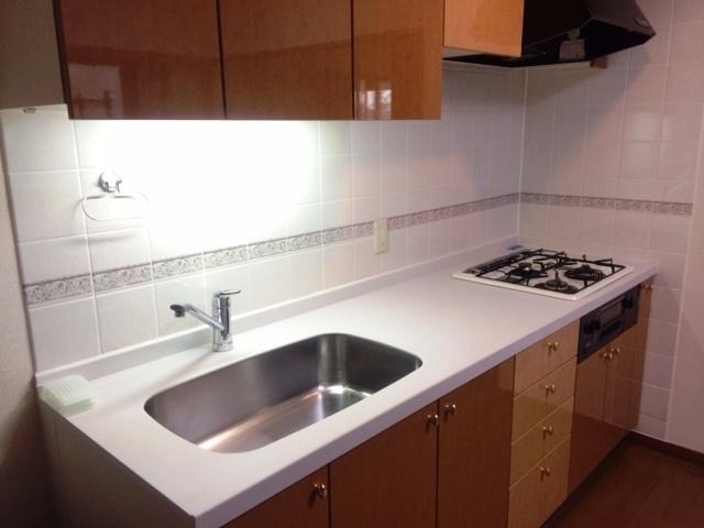 Kitchen. Indoor (January 2014) Shooting