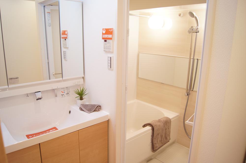 Wash basin, toilet. Interior