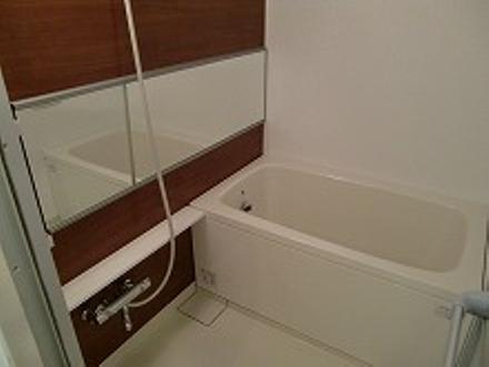 Bathroom. Seller selling other property construction cases
