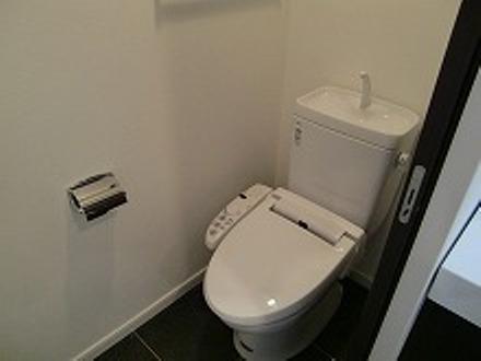 Toilet. Seller selling other property construction cases