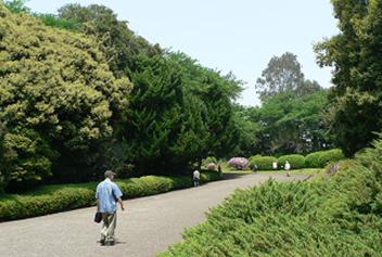 park. Koishikawa Botanical Gardens (park) up to 400m