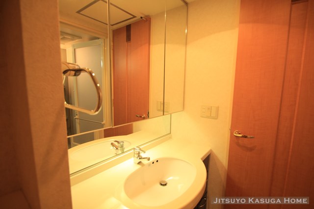Washroom. Independent wash basin of Sofia Otowa