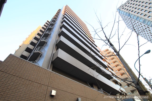 Building appearance. Appearance of Sofia Otowa