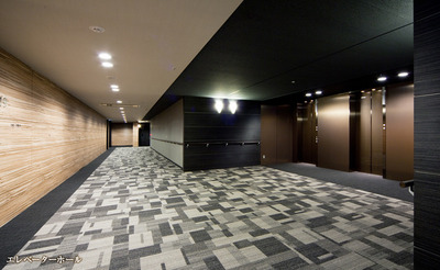 Other common areas. elevator hall