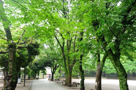 park. A 5-minute walk from the 400m Otsuka park until Otsuka park