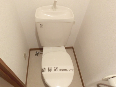 Toilet. Clean toilet