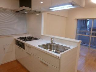 Kitchen. ~ November 28, the interior has been completed ~  Latest system kitchen with water purifier visceral shower faucet