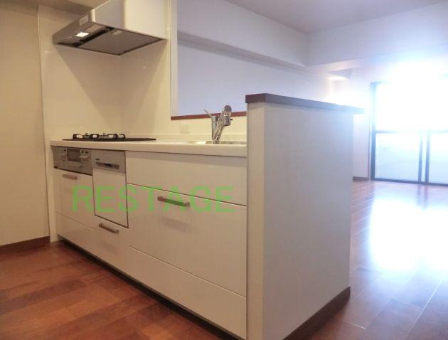 Kitchen. Dishwasher system Kitchen (W2100)