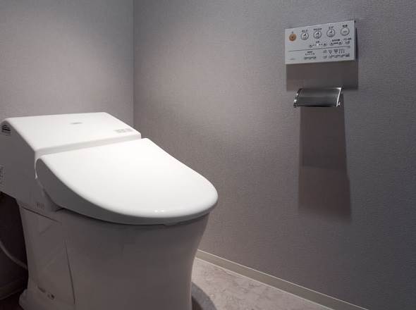 Toilet. model room For your information