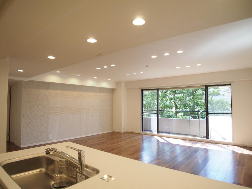 Living. Indoor (11 May 2013) Shooting