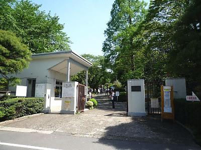 Other. Koishikawa Botanical Gardens