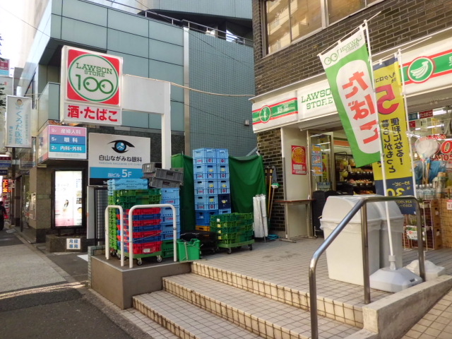 Convenience store. STORE100 Hakusan Station store up (convenience store) 255m