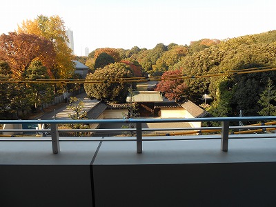 Balcony. View