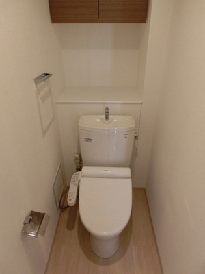 Toilet. Comfortable Washlet