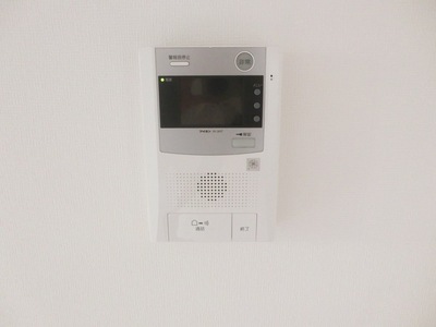 Security. Monitor with intercom