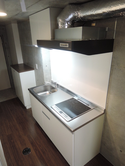 Kitchen. Kitchen of land Residence Koishikawa