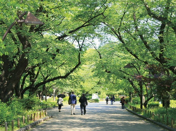 Ueno Park (walk 17 minutes ・ About 1300m)