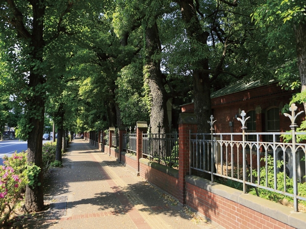 University of Tokyo Akamon around (walk 13 minutes ・ About 1000m)