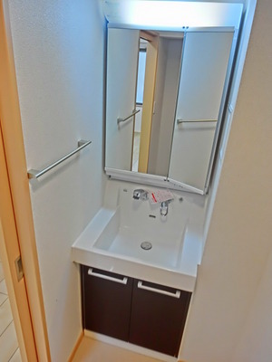 Washroom. Vanity with separate wash basin
