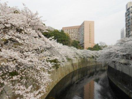 park. 400m until Kanda Kawasakura load (park)