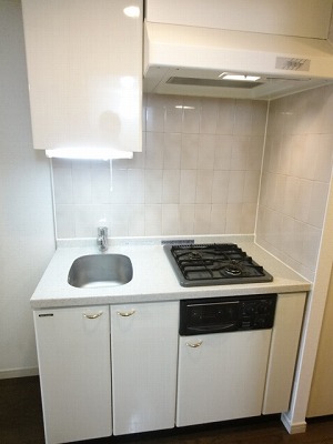 Kitchen. 2 lot gas stoves! 