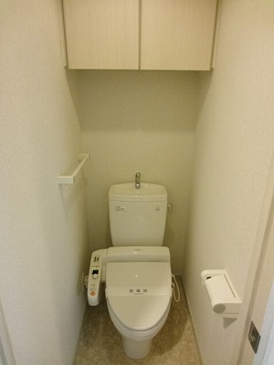 Toilet. Shower toilet & top with storage! 