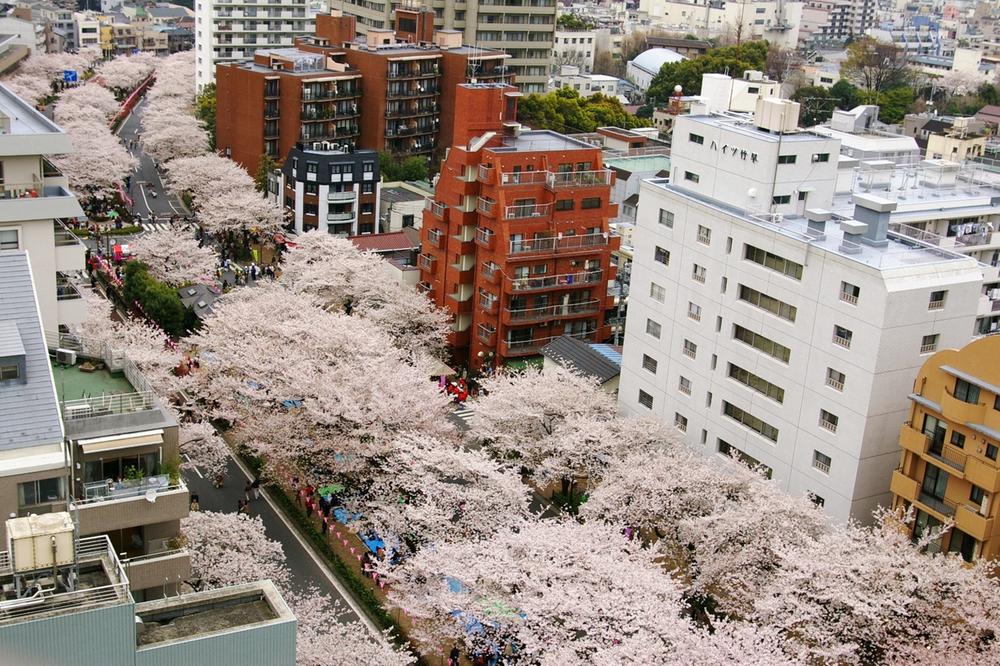 View photos from the dwelling unit. View from local (04 May 2012) is the cherry landscape of Harima slope from the photographing living.