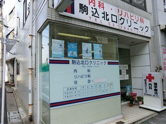 Other. Komagome north exit clinic