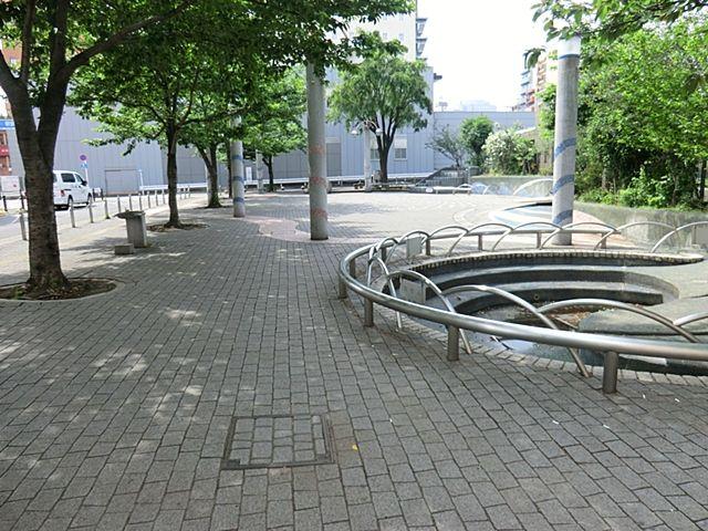 Other. Yoshino cherry tree Sakura Memorial Park