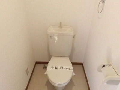 Toilet. Toilet with cleanliness