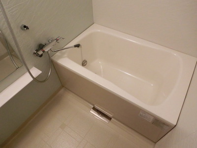 Bath. Bathroom with reheating