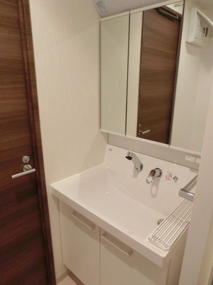 Washroom. Independent wash basin