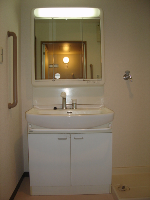 Washroom. The photograph is an image of another in Room.