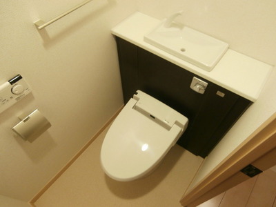 Toilet. Shower toilet