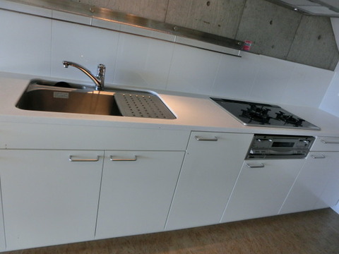 Kitchen. Kitchen sink other