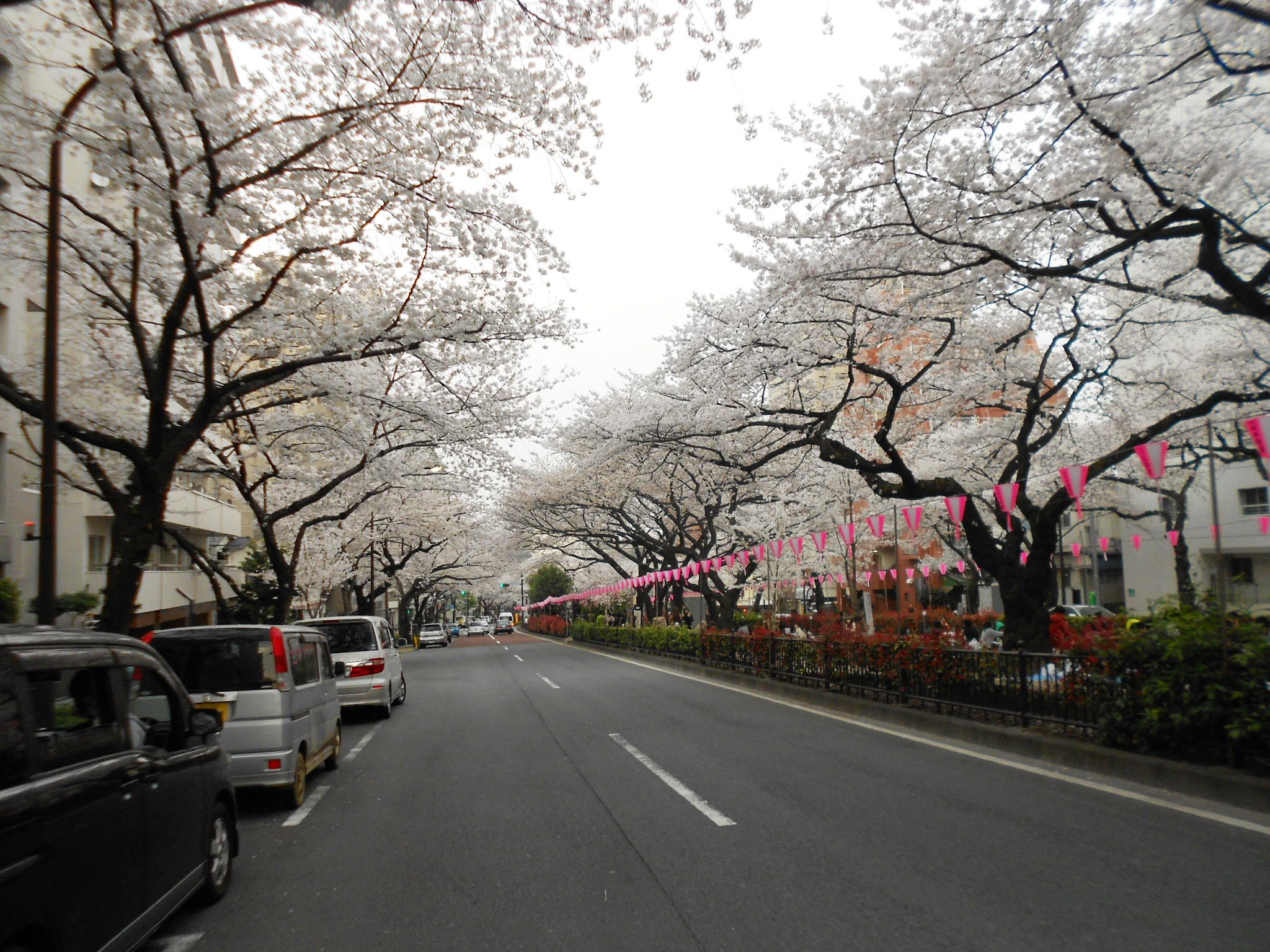 park. 842m to Harima slope cherry trees (park)