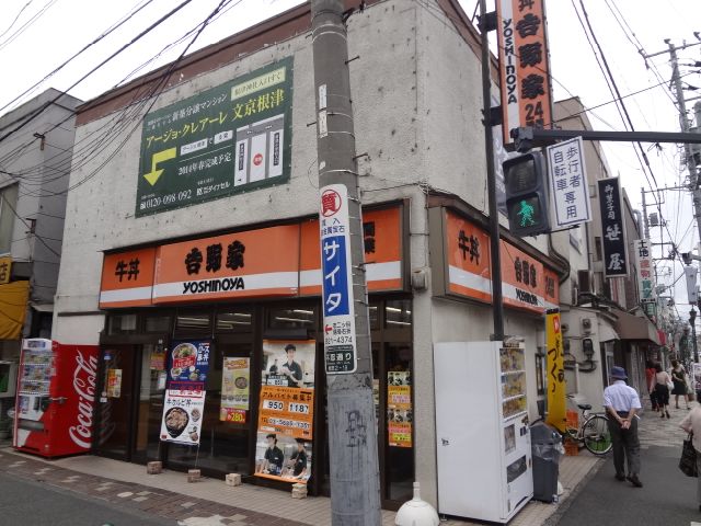 Other. 330m to Yoshinoya Nezu shop (Other)