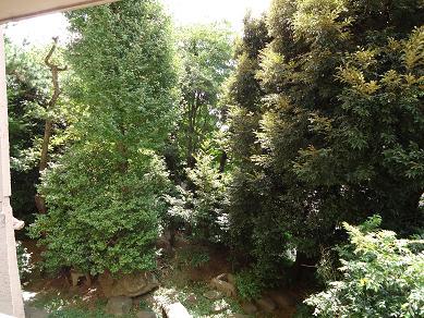 View photos from the dwelling unit. View from local