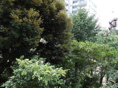 View photos from the dwelling unit. View from local