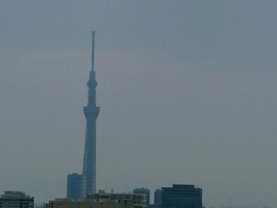 View photos from the dwelling unit