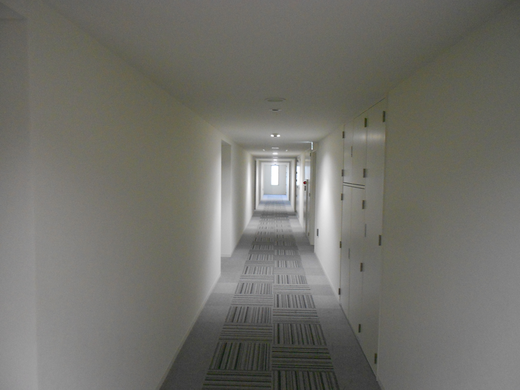 Other common areas. It is an inner hallway. 