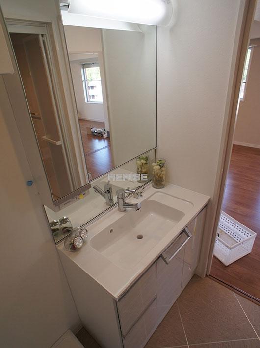 Wash basin, toilet. Bathroom vanity