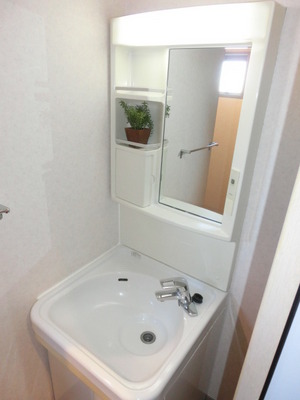 Washroom. Shampoo dresser