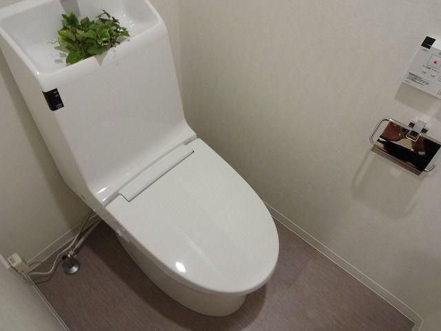 Toilet