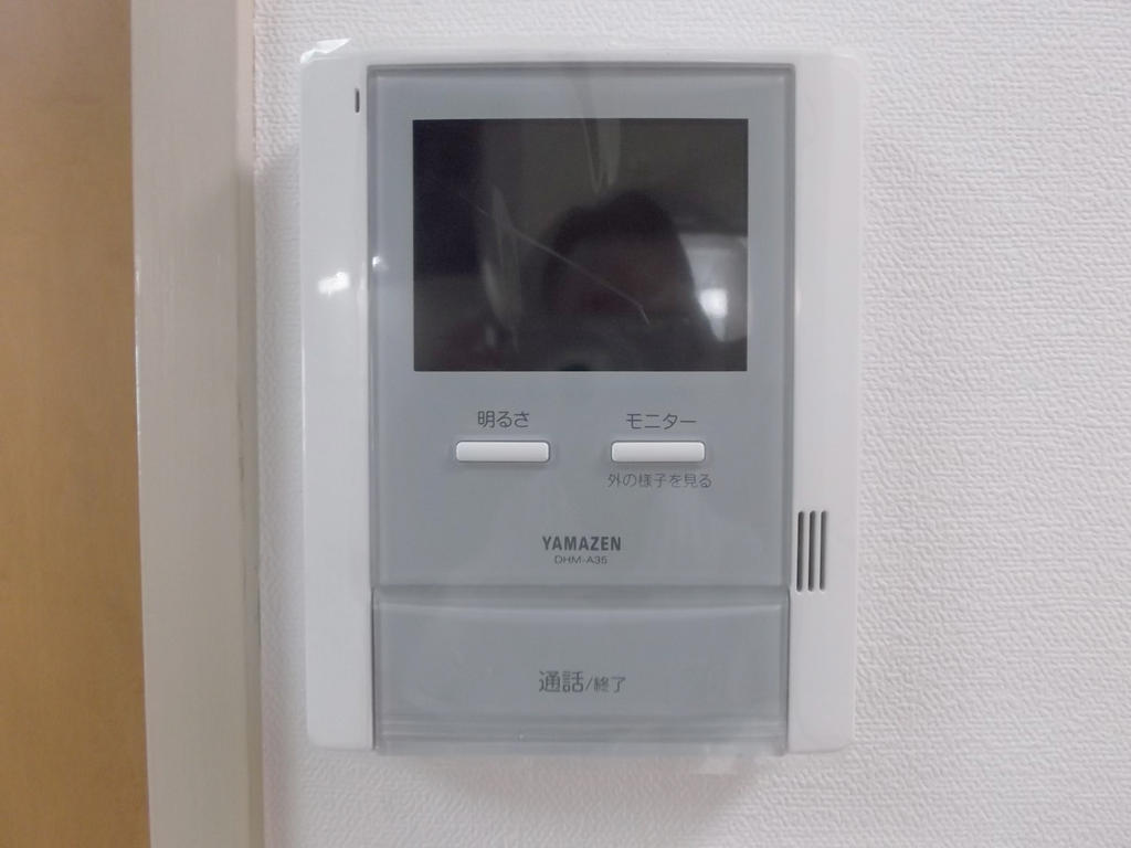 Security. Intercom with TV monitor