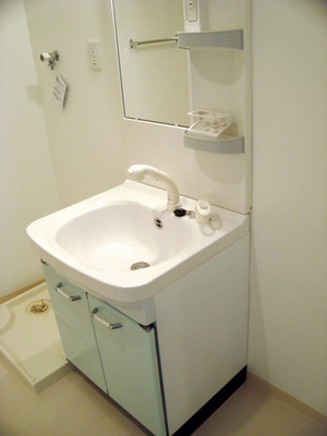 Washroom. Bathroom Vanity