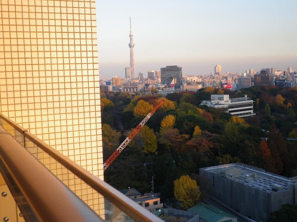 View photos from the dwelling unit. View from local   [Sky tree] (December 2013) Shooting