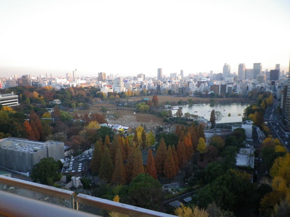 View photos from the dwelling unit. View from local  [Shinobazunoike]