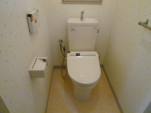 Toilet. Toilet